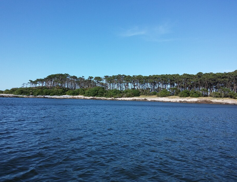 Isla Gorriti