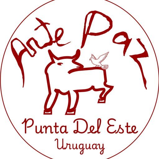 cropped-cropped-Logotipo-ArtePaz